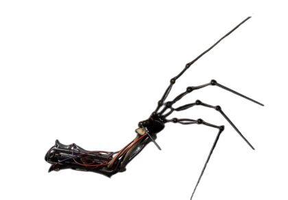 Prototype Hand