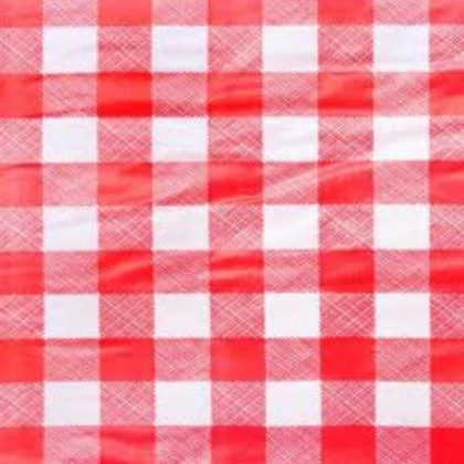 Picnic Blanket