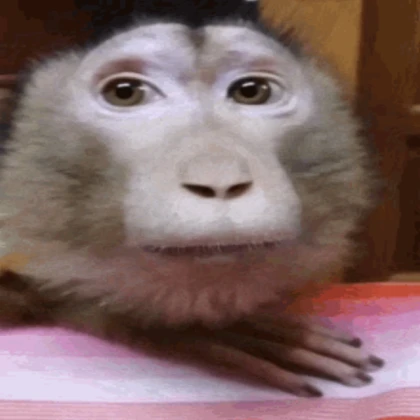 Monke