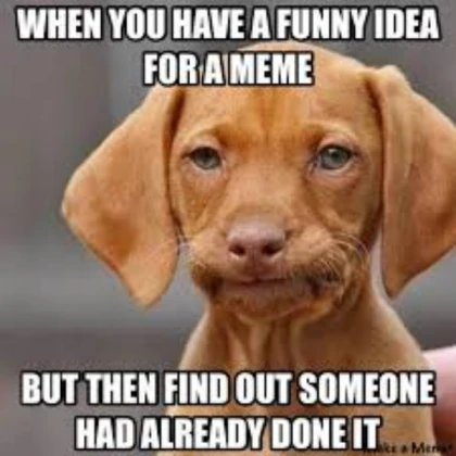 Dog mem