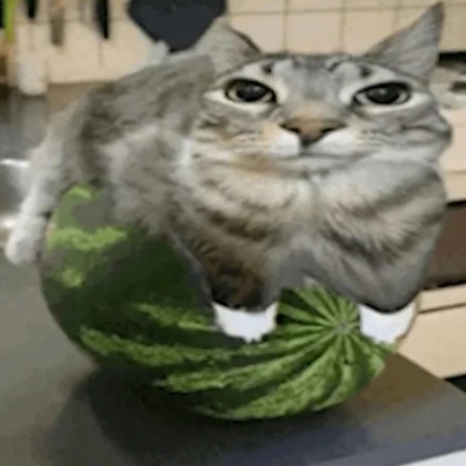Cat Mod