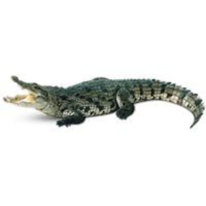Dakotaraptor from ###