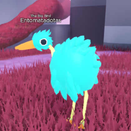 Bird Randomizer