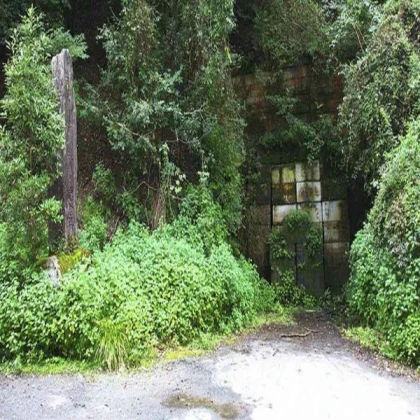 Forest Gate