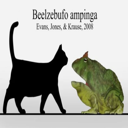 beelzebufo npc