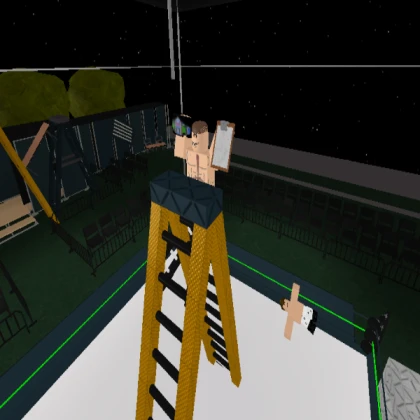 huge step ladder
