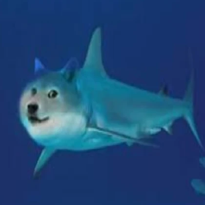 Shark