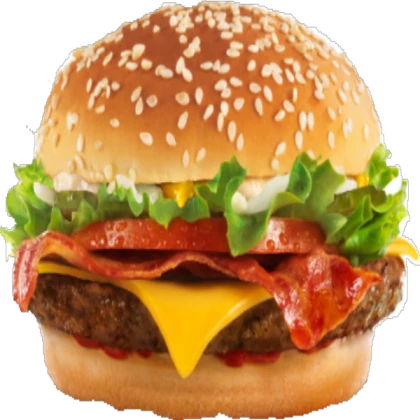 Realistic Burger