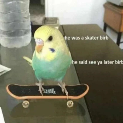 bird nado