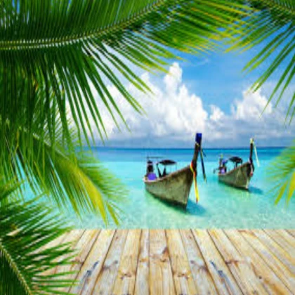 Go boating!(FOR BIRD)