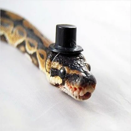 Snake Eyes/Cat Eyes Potion (Update)