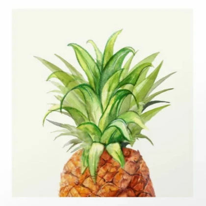 pineapple