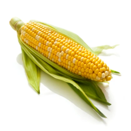 big corn