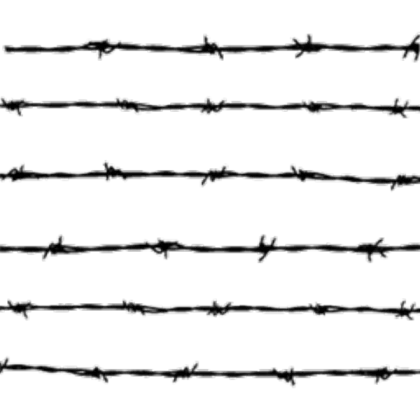 barbed wires