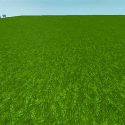 Grass