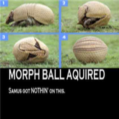 morph ball