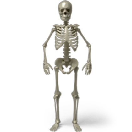 SCARY SKELETON