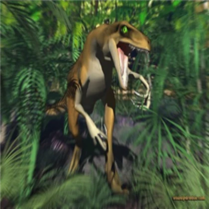 Velociraptor
