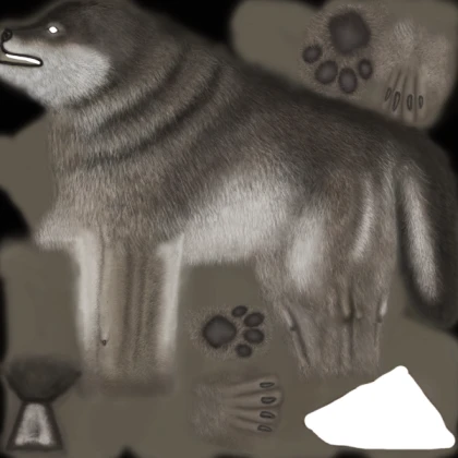 wolf