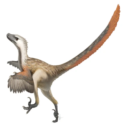 Velociraptor Morph