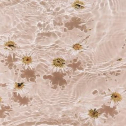 A Water Flower