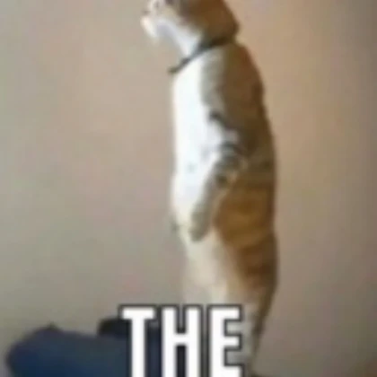 The Big Cat Tower!