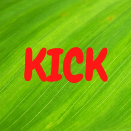 Kick GUI
