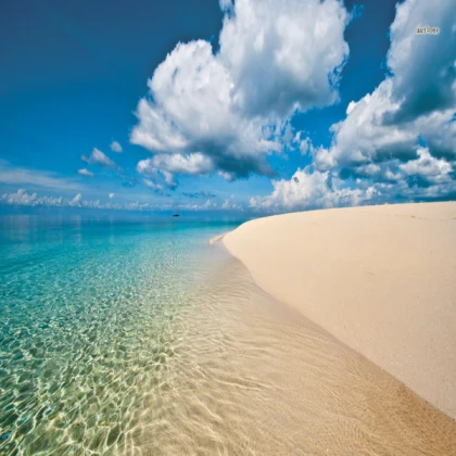 SANDBAR BEACH & POOL
