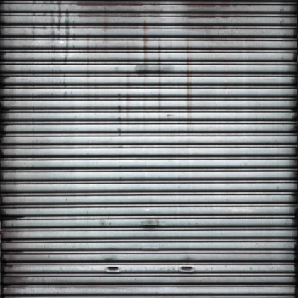 BIRD Door