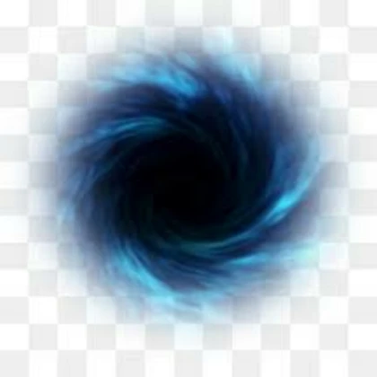 blackhole bird