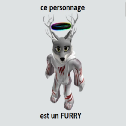 robo furry
