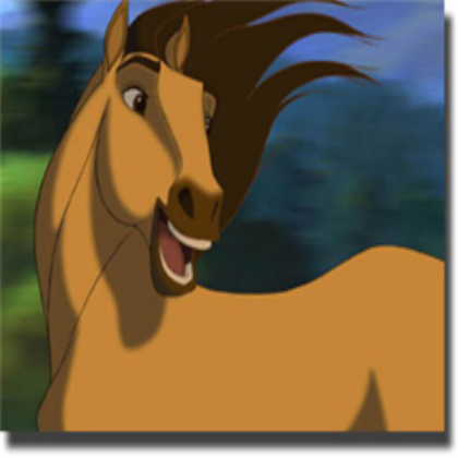 horse