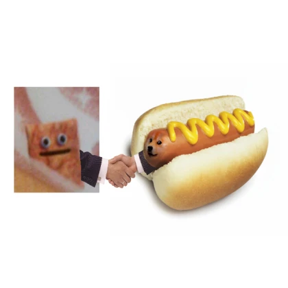 Doge Dog