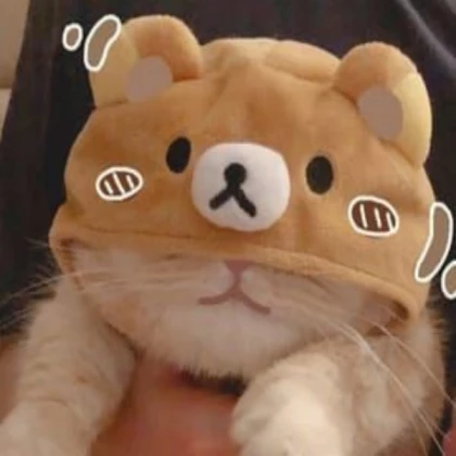 Cute Cat