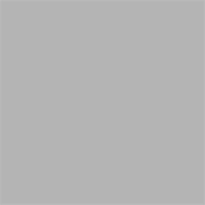 Bird (Gray)