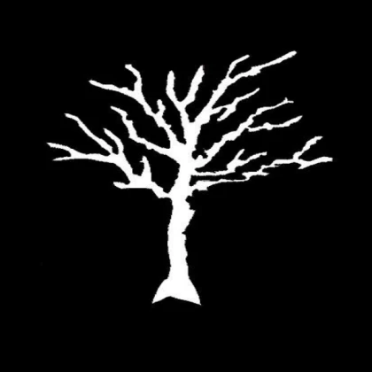 Tree with no leaf