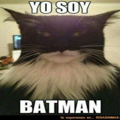 gatoman
