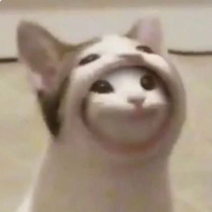 Head's Pop Cat