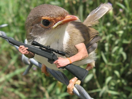 upgraded bird hunters