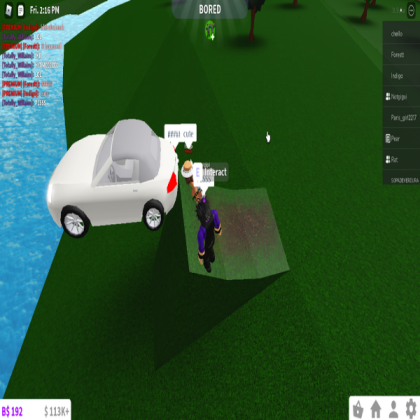 sus car