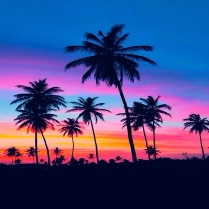 #########