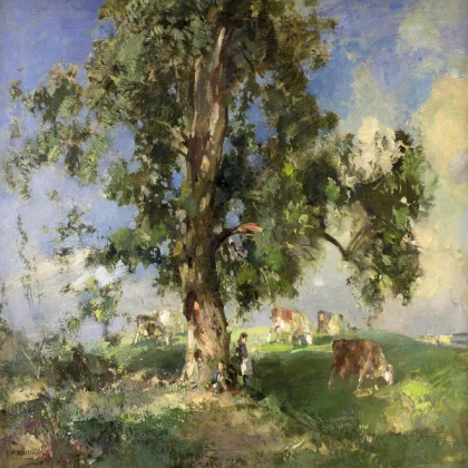 Old Tree