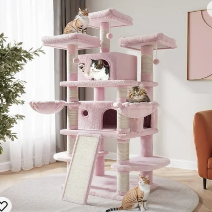bird tree