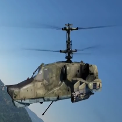 bird helicopter