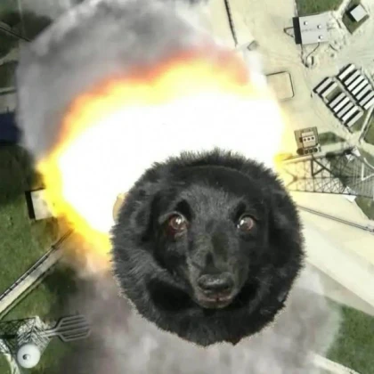 Exploding Dog