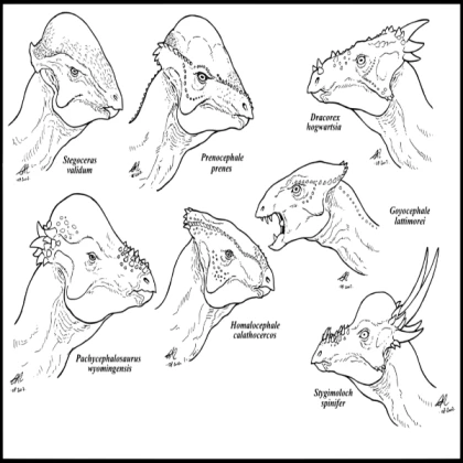 Herbivorous & Carnivorous Dinosaur Morph