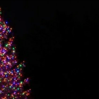 Arbol :3