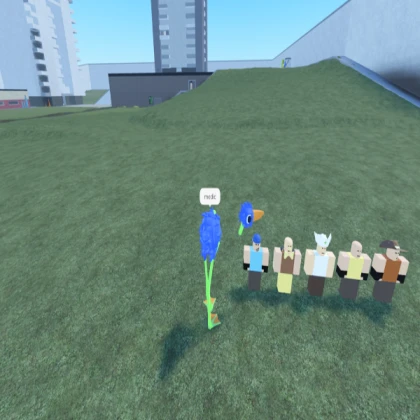 DoD Survivors