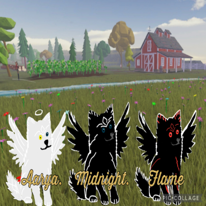🐾 Adopt Me Custom Pet Bundle Pets Accessories