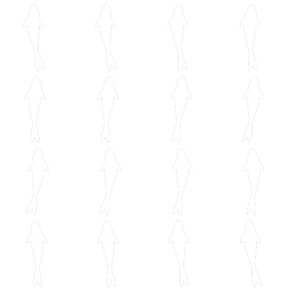 SIXTEEN SWIMMING FISH